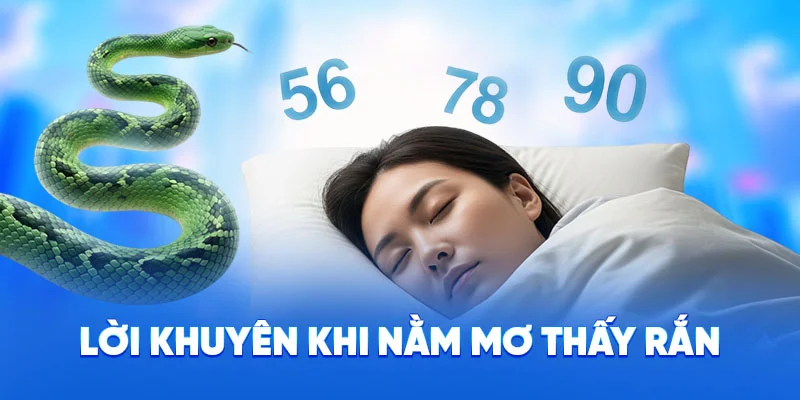 Lời khuyên khi nằm mơ thấy rắn
